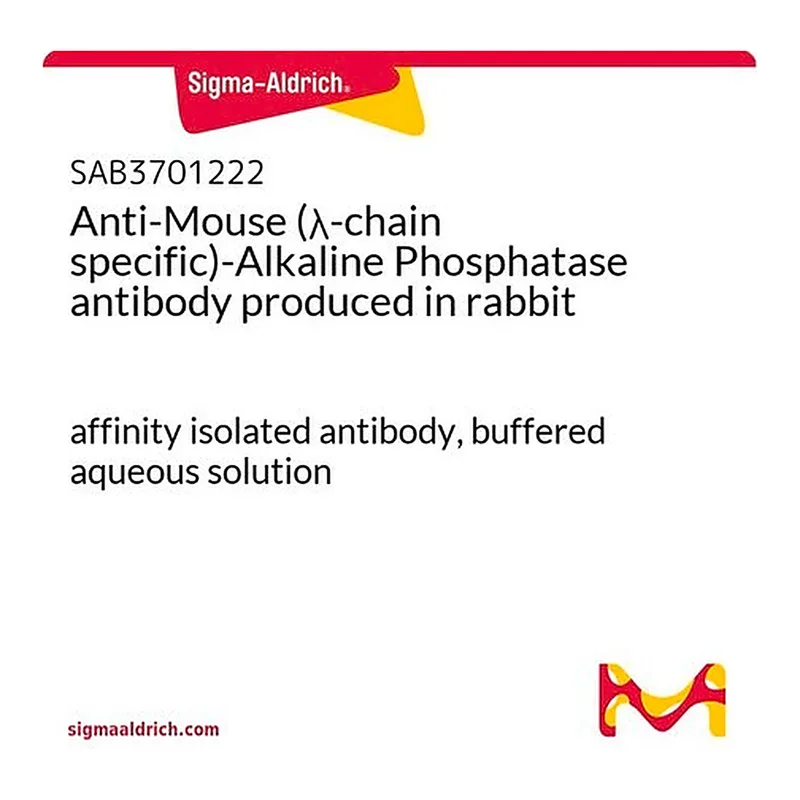 Merck Anti-Mouse (lambda-chain specific)-Alkaline Phosphatase antibody produced in rabbit