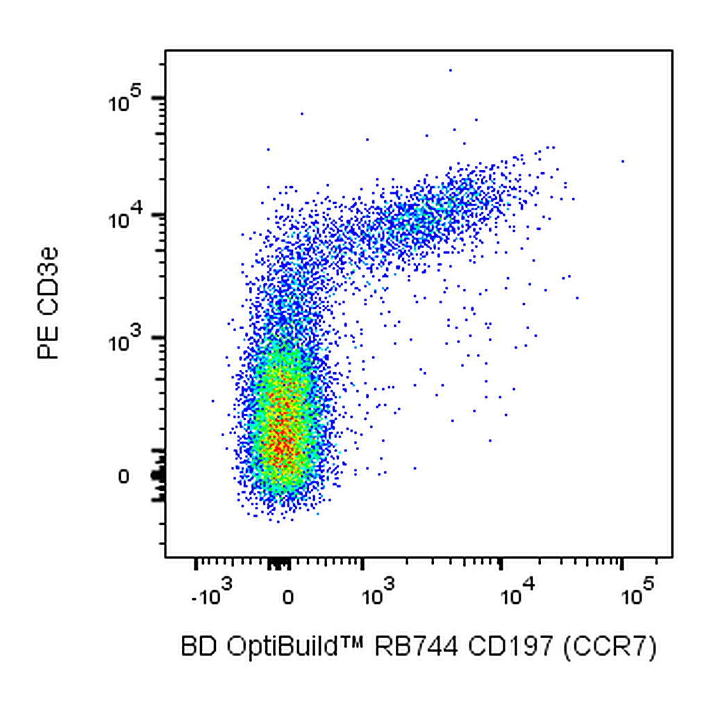 BD RB744 Rat Anti-Mouse CD197 (CCR7)