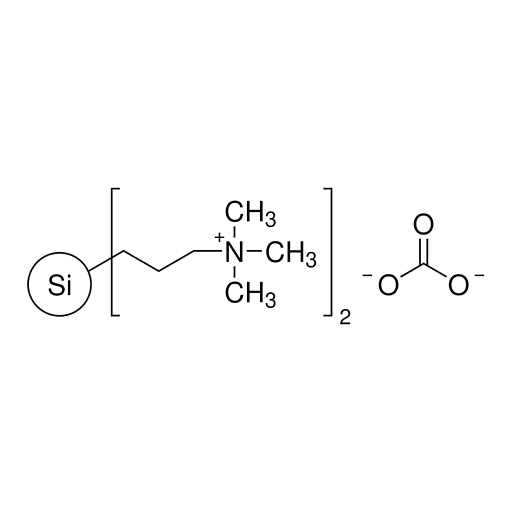 Merck 3-(Trimethylammonium)propyl-functionalized silica gel, carbonate