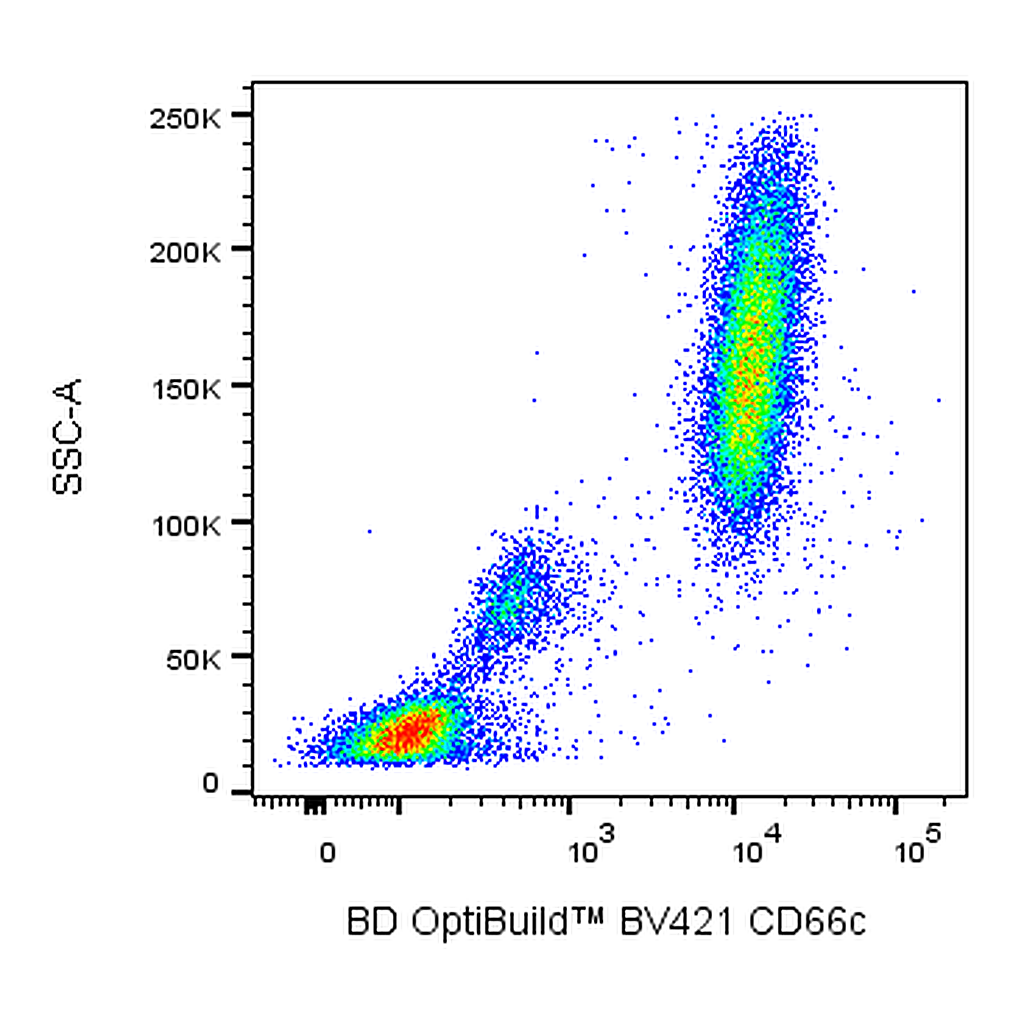 BD BV421 Mouse Anti-Human CD66c