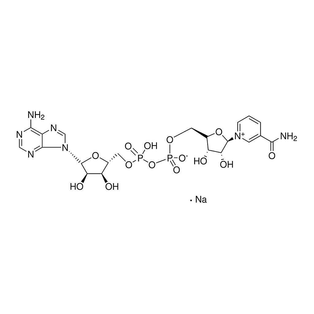 Merck beta-Nicotinamide adenine dinucleotide sodium salt