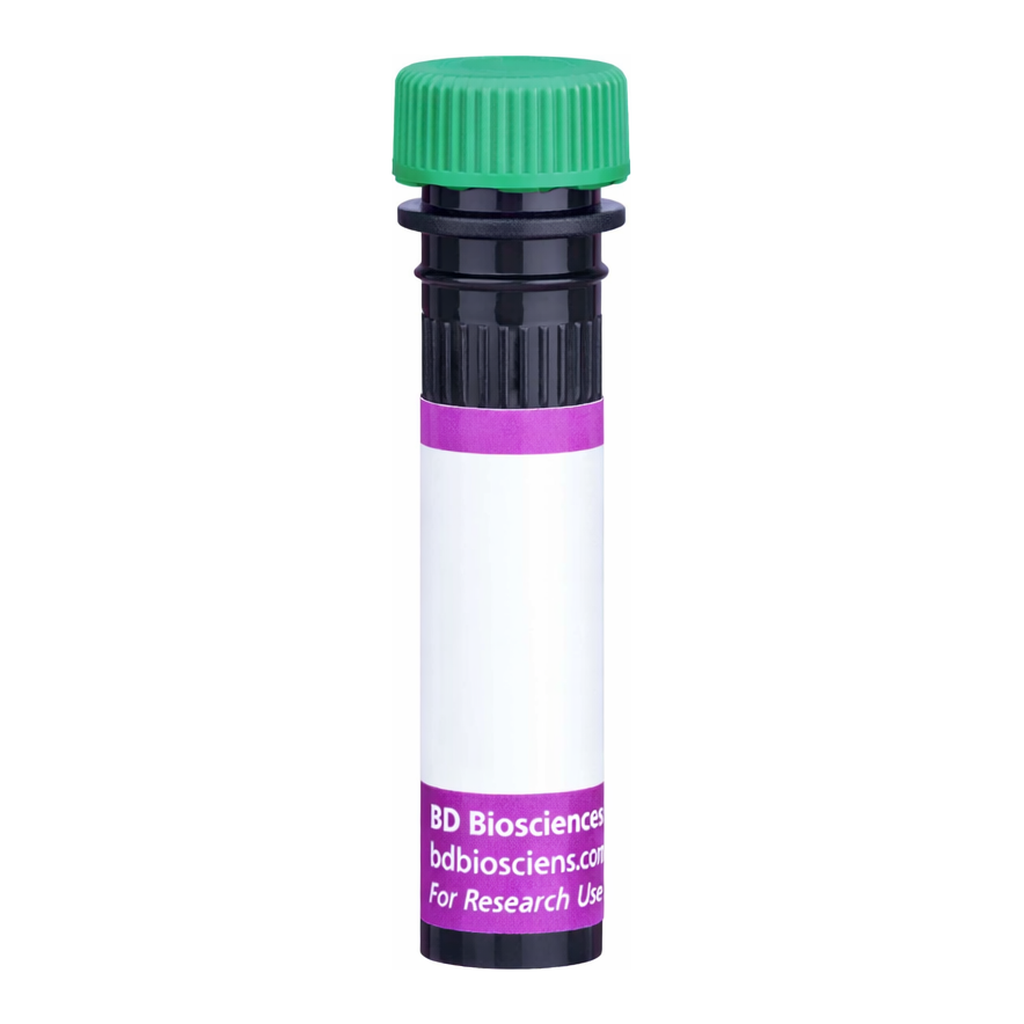 BD BV480 Mouse Anti-Human Delta-Like Protein 1