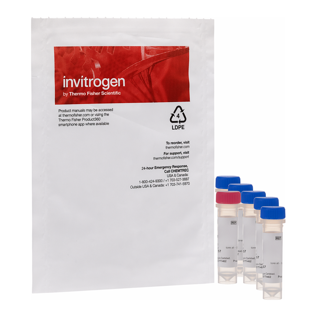 Thermo Fisher Scientific Image-IT LIVE Green Reactive Oxygen Species Detection Kit, for microscopy