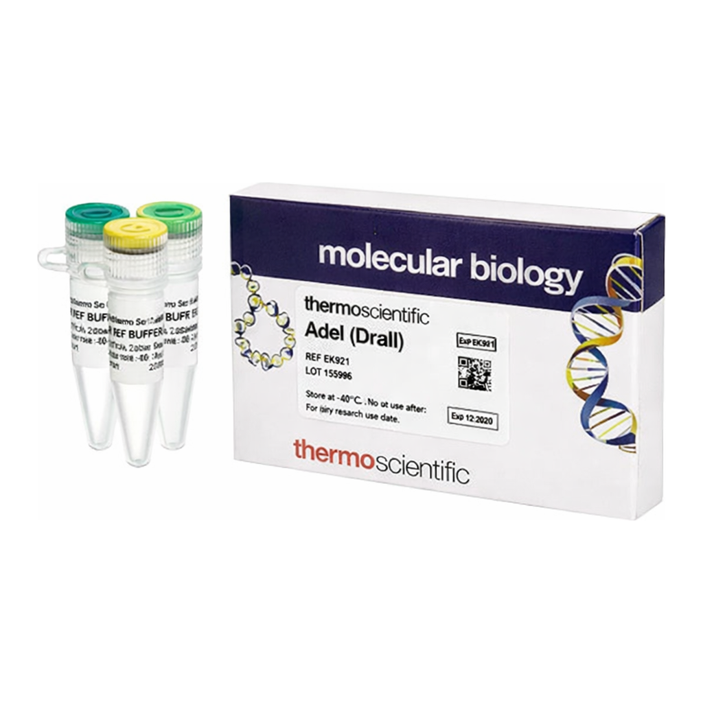 Thermo Fisher Scientific AdeI (DraIII) (10 U/&mu;L)