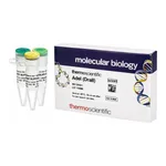 Thermo Fisher Scientific AdeI (DraIII) (10 U/μL)