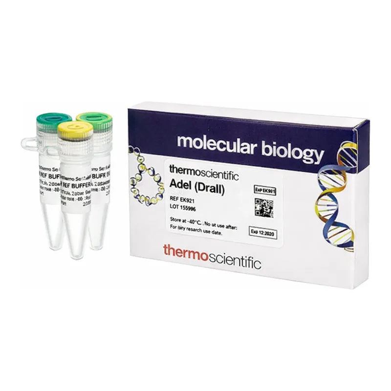 Thermo Fisher Scientific AdeI (DraIII) (10 U/μL)