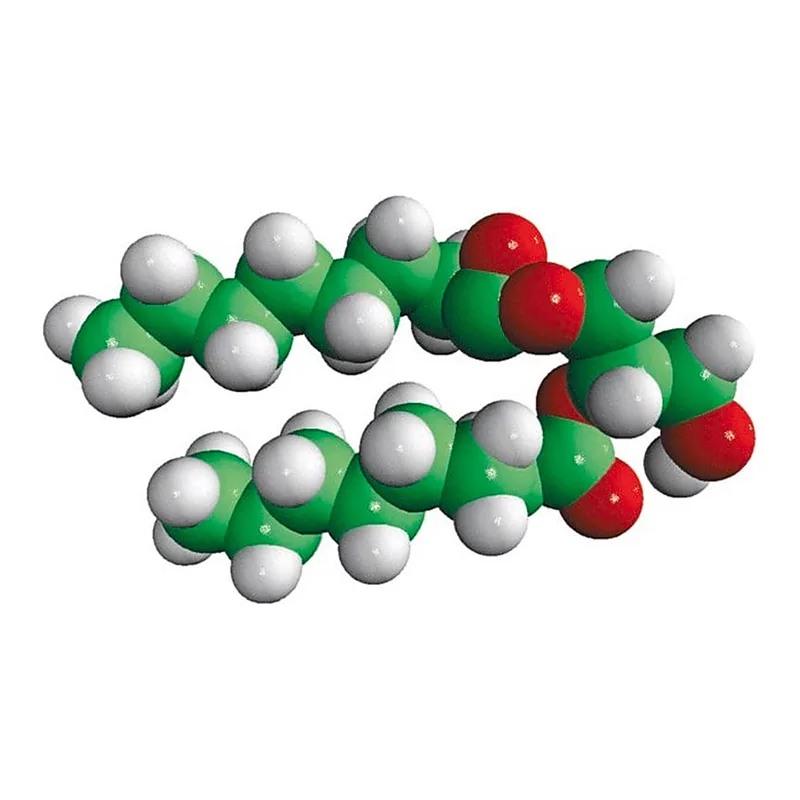 Merck 08:0 DG