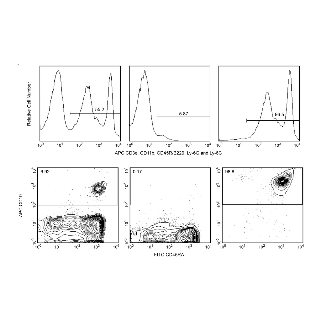 BD APC Magnetic Particles - DM