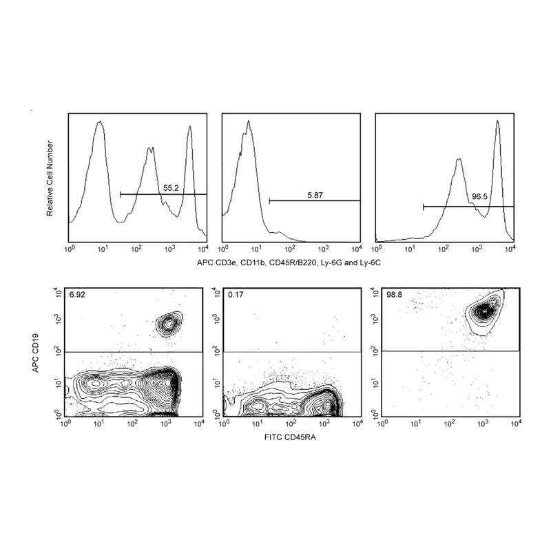 BD APC Magnetic Particles - DM