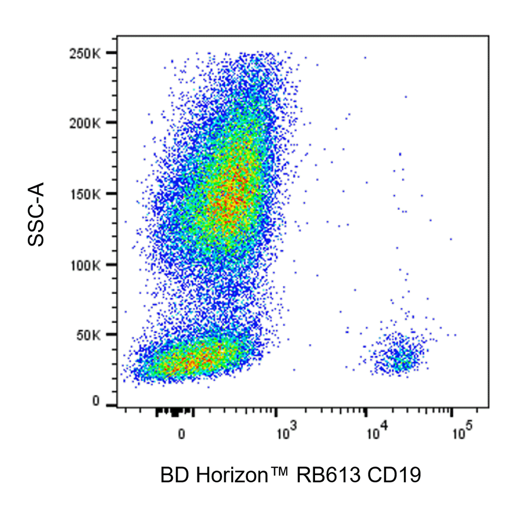 BD RB613 Mouse Anti-Human CD19