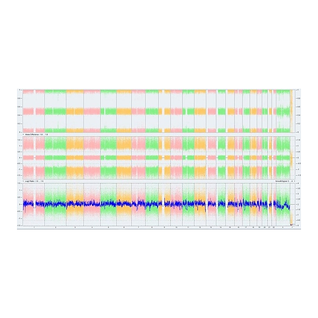 Thermo Fisher Scientific KaryoStat+ Genetic Stability Assay Service