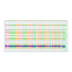 Thermo Fisher Scientific KaryoStat+ Genetic Stability Assay Service