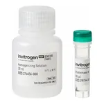 Thermo Fisher Scientific QuantiGene Sample Processing Kit, tissues, 10 Samples