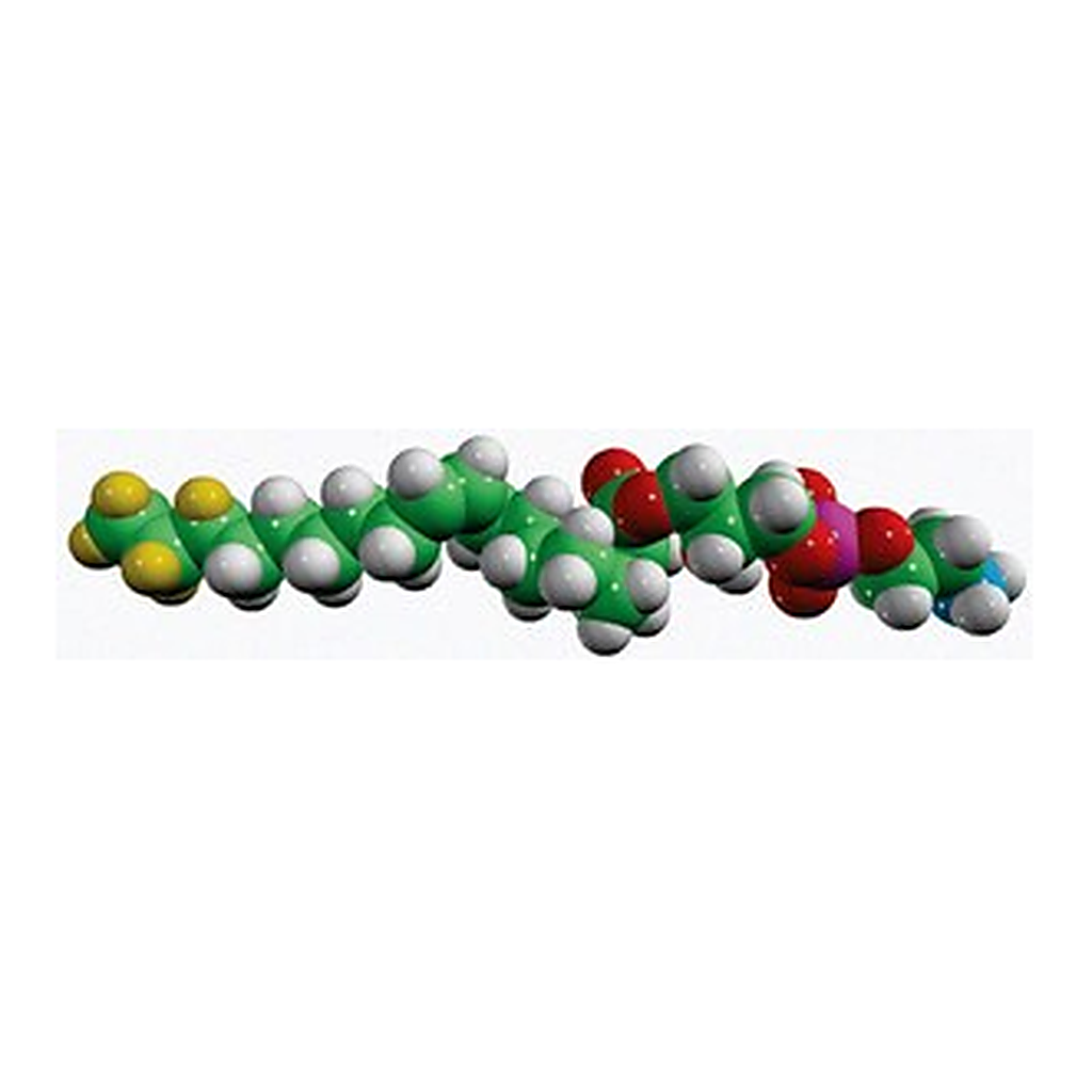 Merck 18:1-D7 LYSO PE