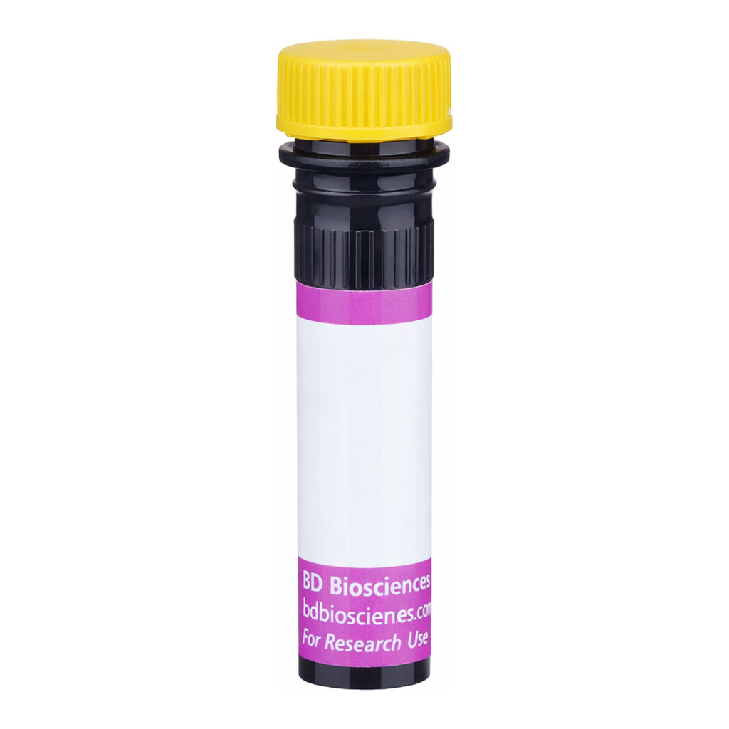 BD BV650 Rat IgG2a, κ Isotype Control