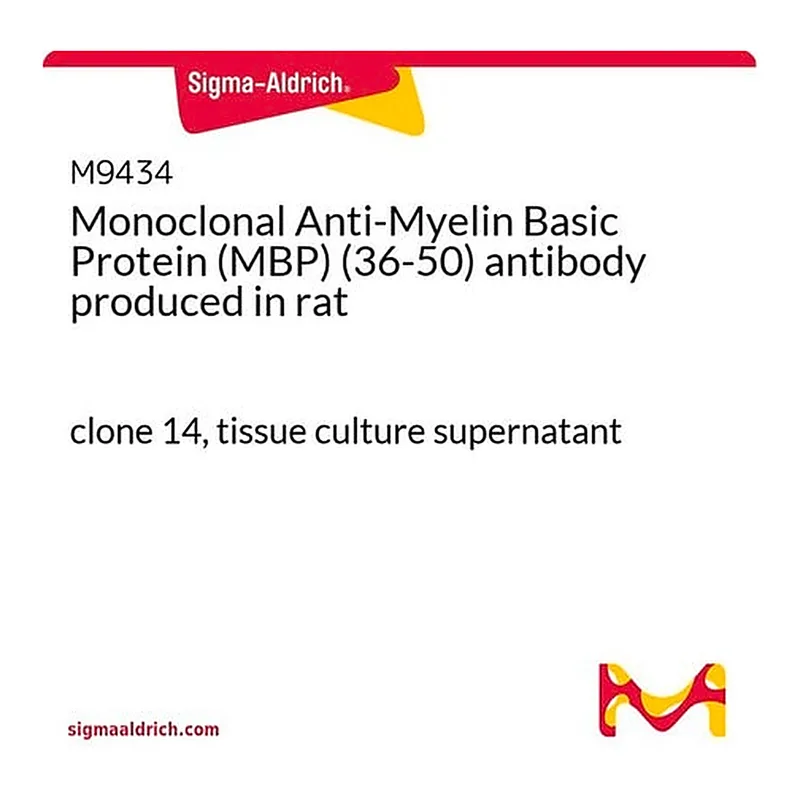 Merck Monoclonal Anti-Myelin Basic Protein (MBP) (36-50) antibody produced in rat