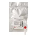Thermo Fisher Scientific DyLight 521-LS NHS Ester