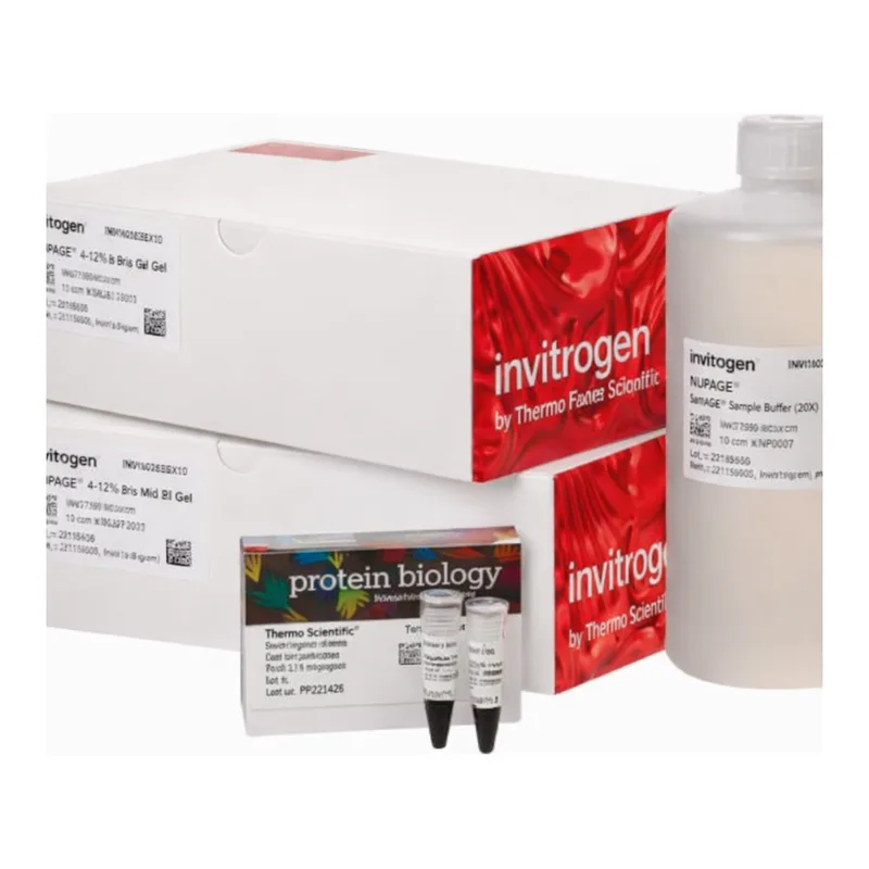 Thermo Fisher Scientific NuPAGE Midi Tris-Acetate Resupply Pack, 3 to 8%, WedgeWell format, 20-well, 1 Kit