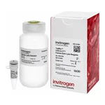 Thermo Fisher Scientific TaqMan Cells-to-CT Express Lysis Reagents