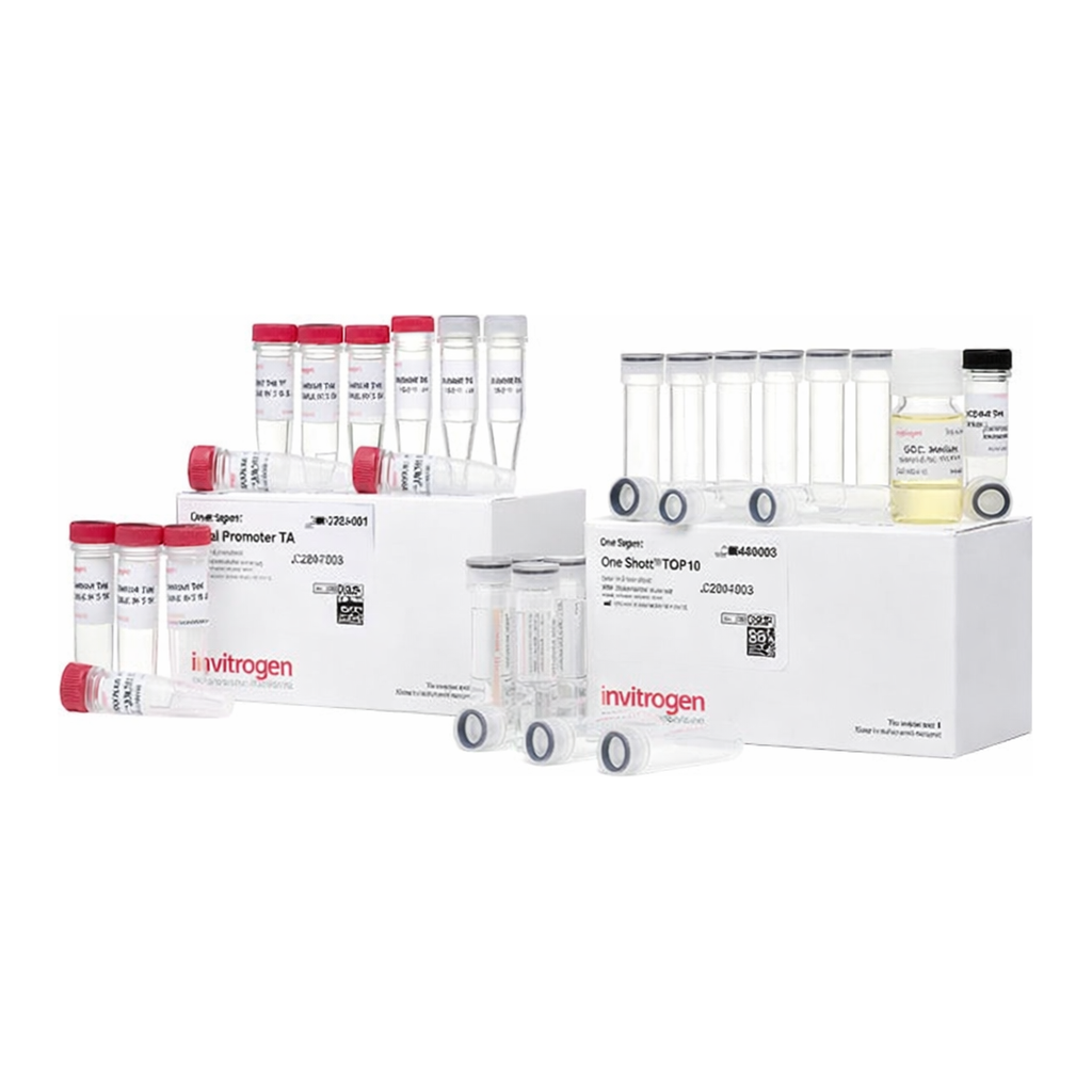 Thermo Fisher Scientific TA Cloning Kit, Dual Promoter, with pCRII Vector and One Shot INVαF` Chemically Competent E. coli, 20 reactions