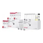 Thermo Fisher Scientific TA Cloning Kit, Dual Promoter, with pCRII Vector and One Shot INVαF` Chemically Competent E. coli, 20 reactions