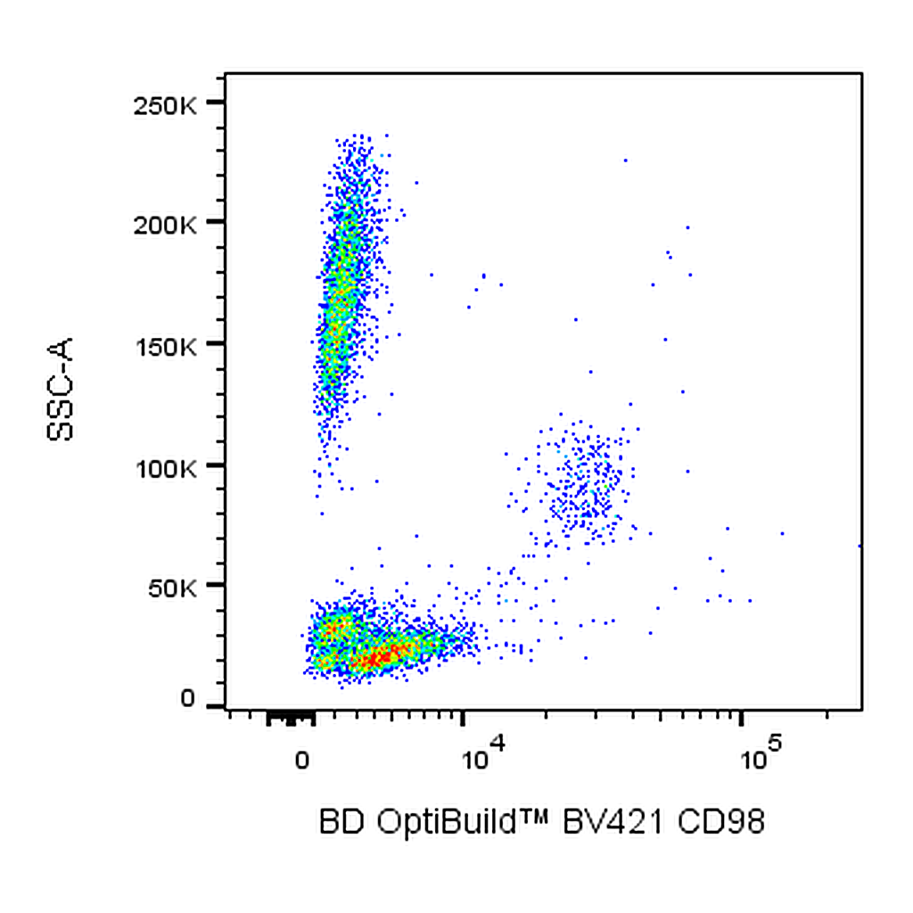 BD BV421 Mouse Anti-Human CD98