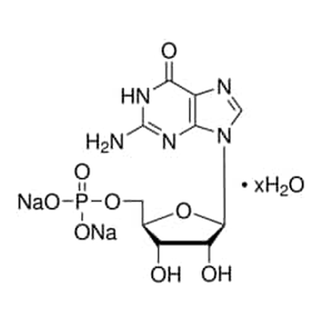 Merck DISODIUM GUANYLATE, UNITED STATES PHARMA