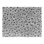 Sartorius Cellulose Acetate Membrane Filters