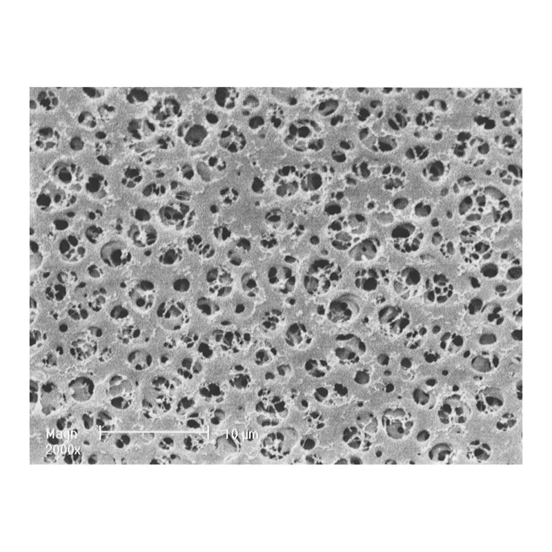 Sartorius Cellulose Acetate Membrane Filters