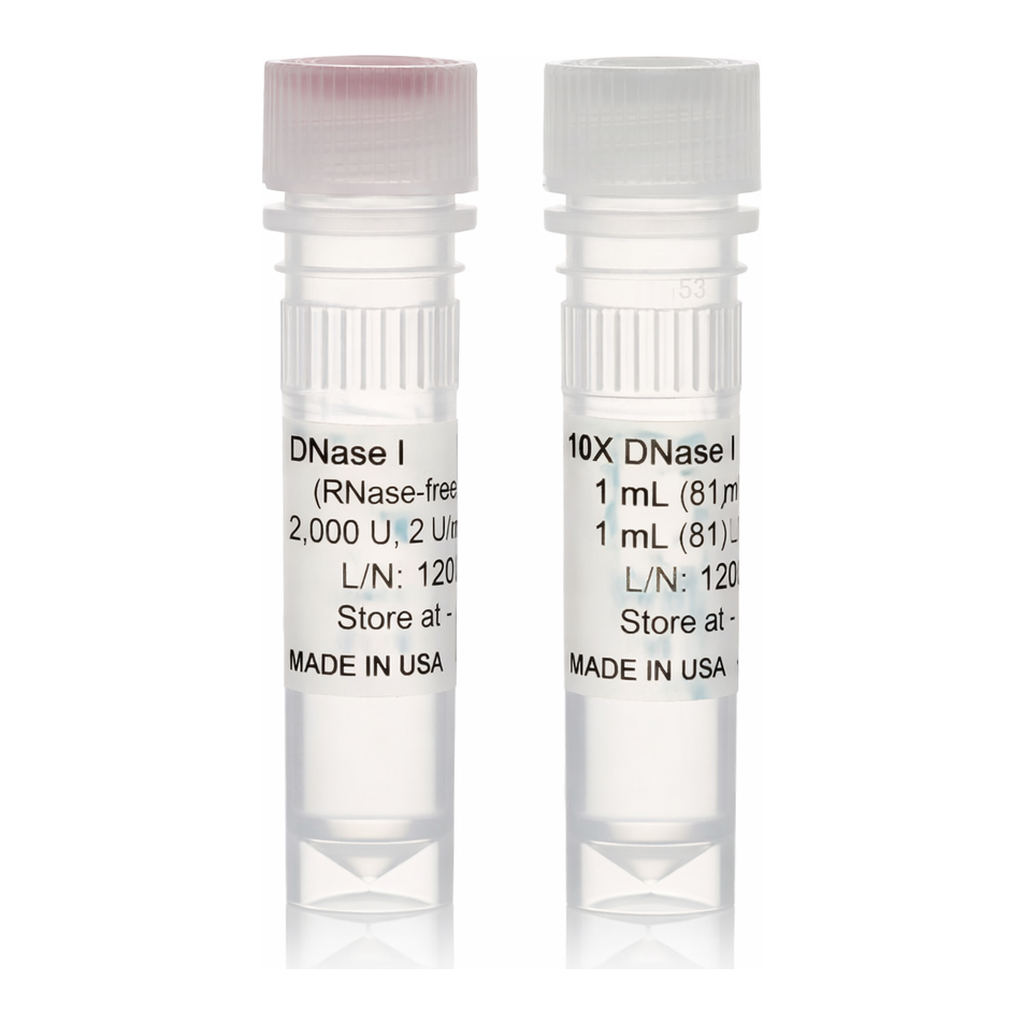 Thermo Fisher Scientific Ambion DNase I (RNase-free), 2000 U