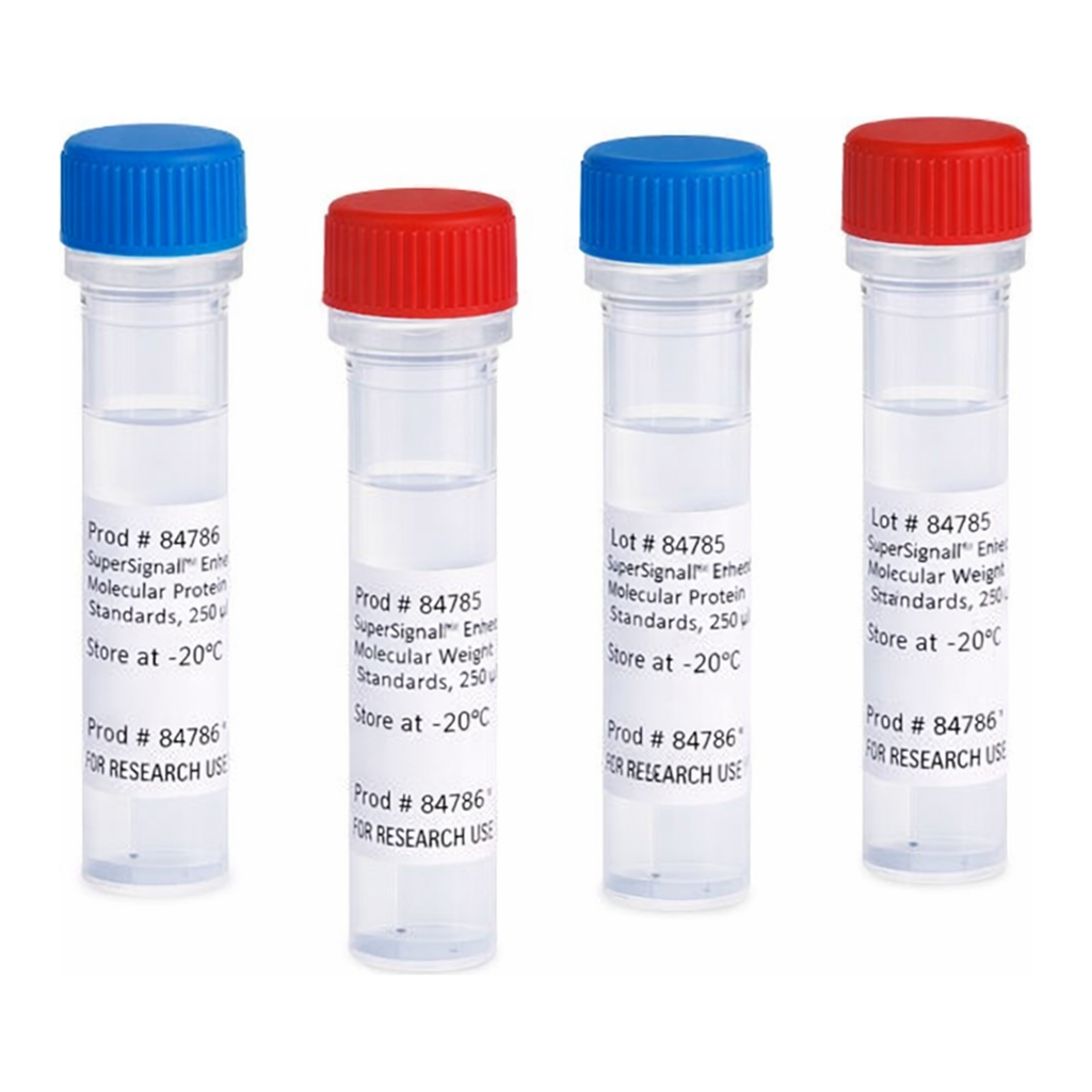 Thermo Fisher Scientific SuperSignal Molecular Weight Protein Ladder
