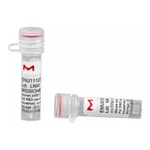 Merck MISSION(R) esiRNA