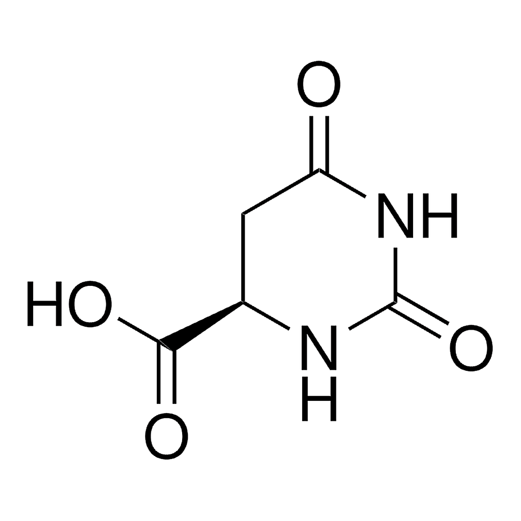 Merck D-Hydroorotic acid