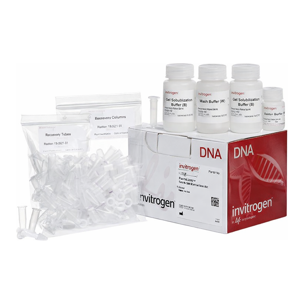 Thermo Fisher Scientific PureLink Quick Gel Extraction Kit, 50 preps