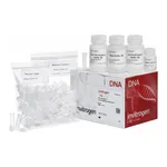Thermo Fisher Scientific PureLink Quick Gel Extraction Kit, 50 preps
