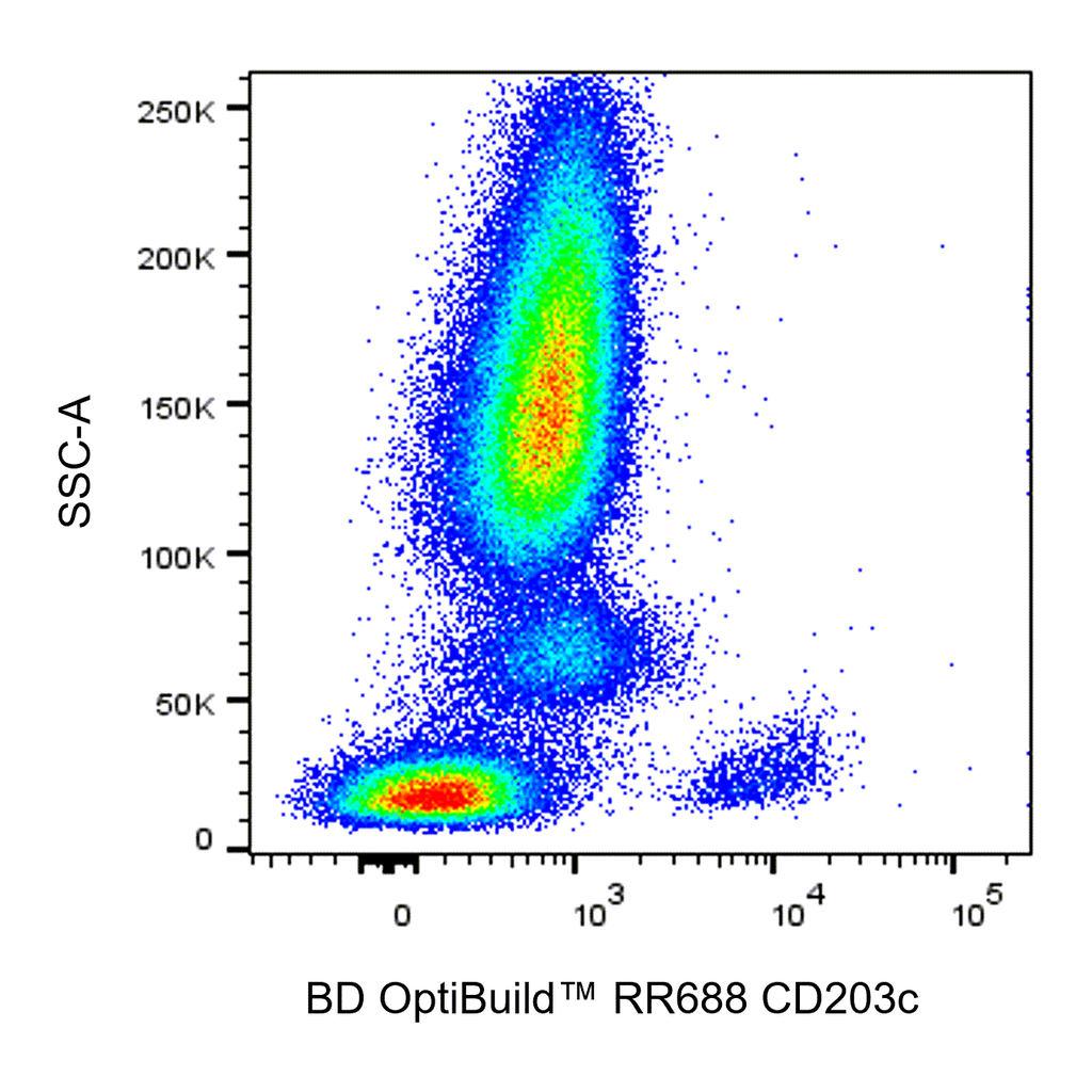 BD RR688 Mouse Anti-Human CD203c