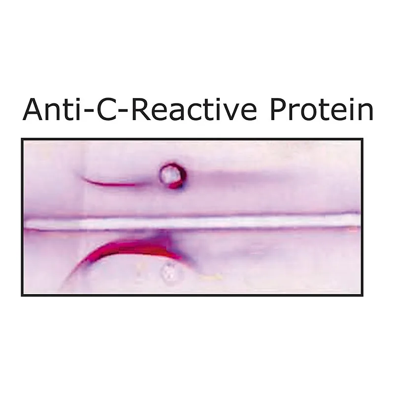 Merck Anti-C-Reactive Protein antibody produced in goat