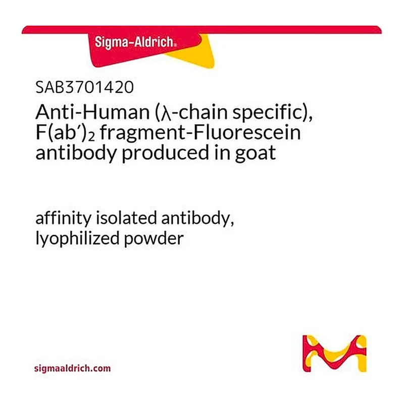 Merck Anti-Human (lambda-chain specific), F(ab')2 fragment-Fluorescein antibody produced in goat
