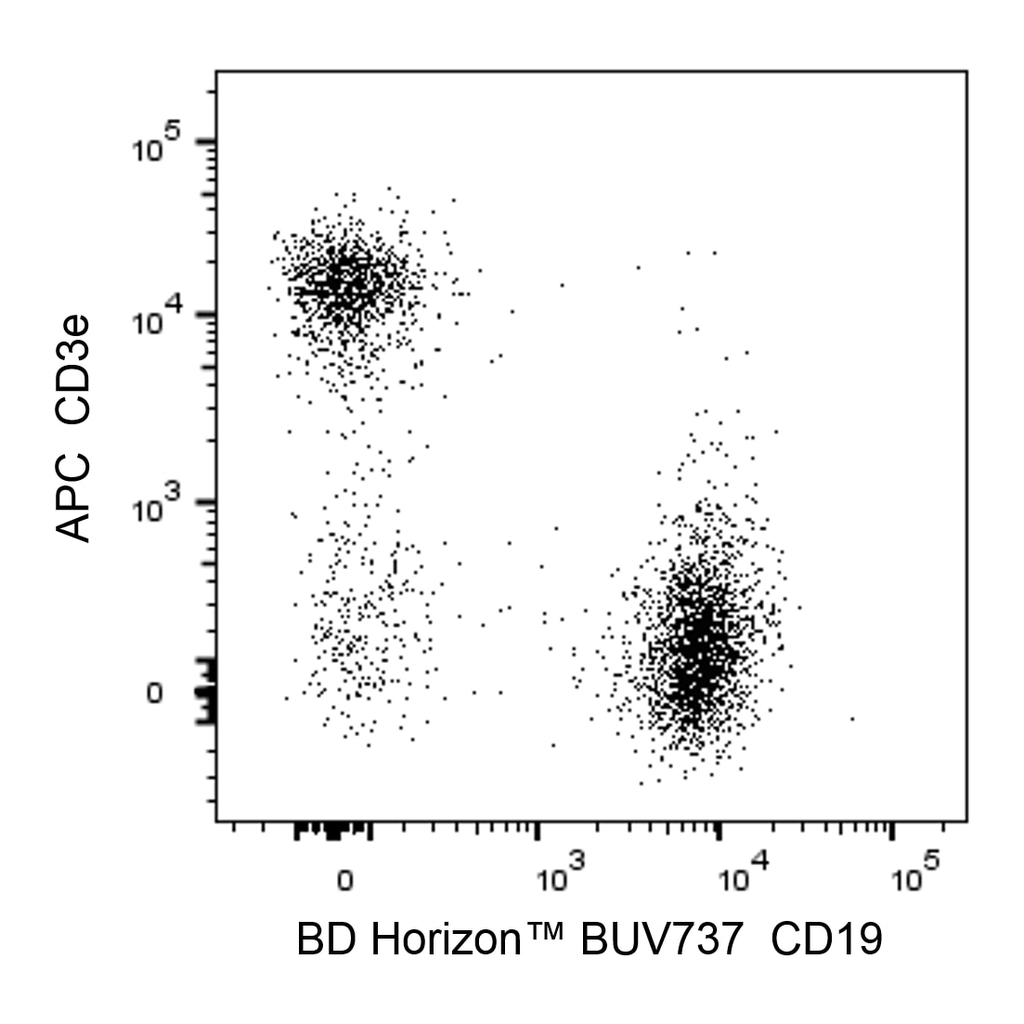 BD BUV737 Rat Anti-Mouse CD19