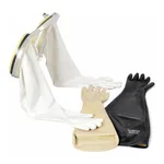 Merck Plas-Labs neoprene glove box gloves