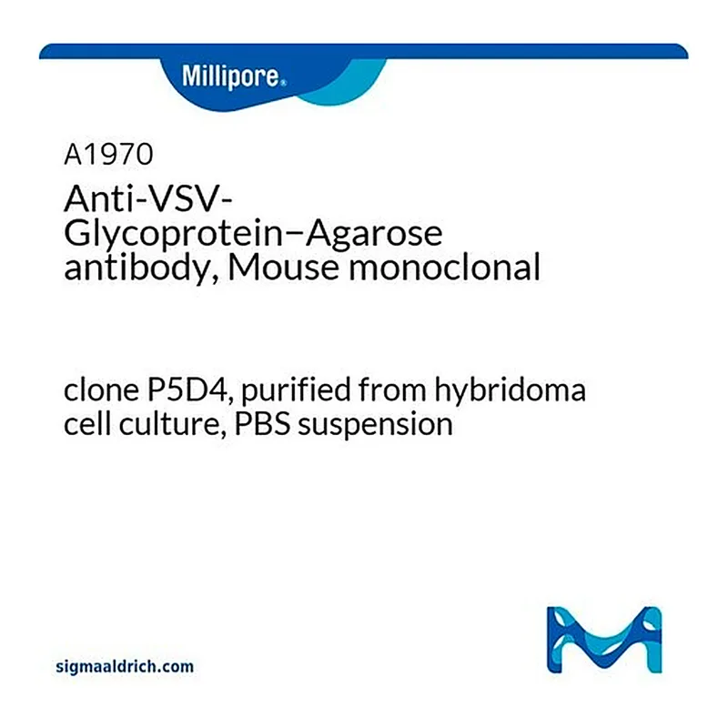 Merck Anti-VSV-Glycoprotein-Agarose antibody, Mouse monoclonal