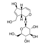 Merck AUCUBIN