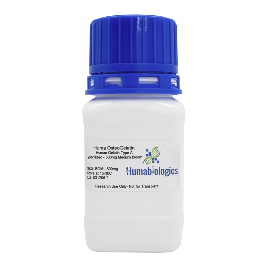 Humabiologics Huma OsteoGelatin- Human Gelatin, Lyophilized, Medium Bloom ~225g (BGML)