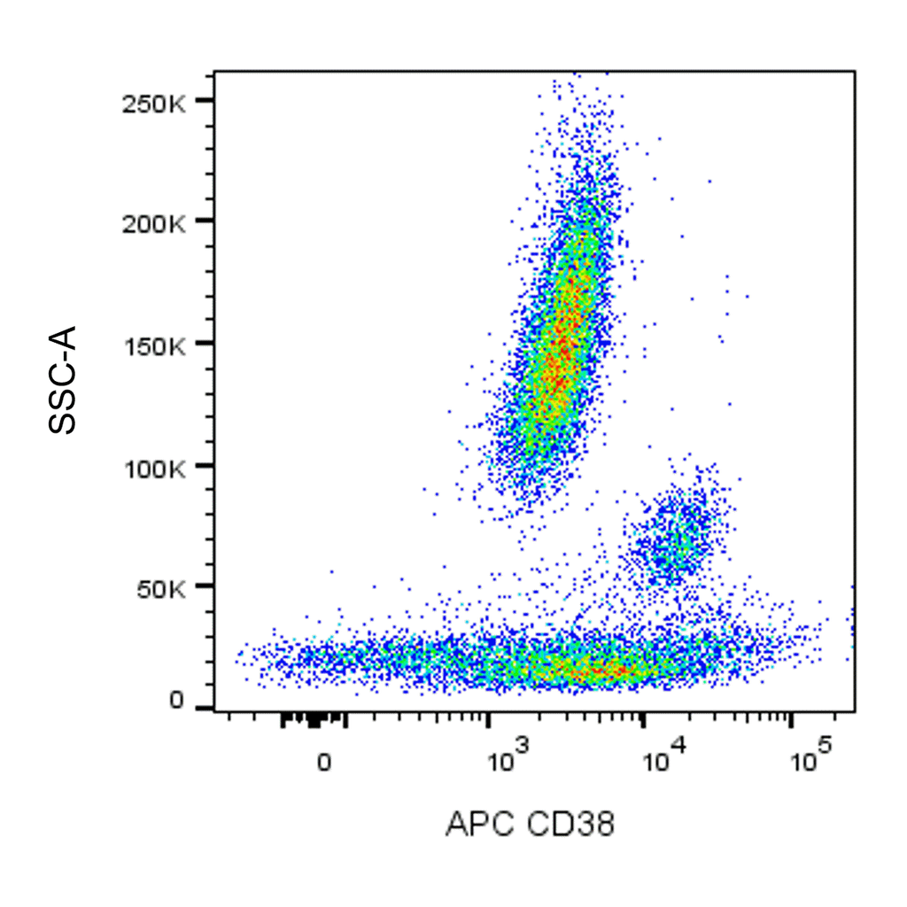 BD APC Mouse Anti-Human CD38