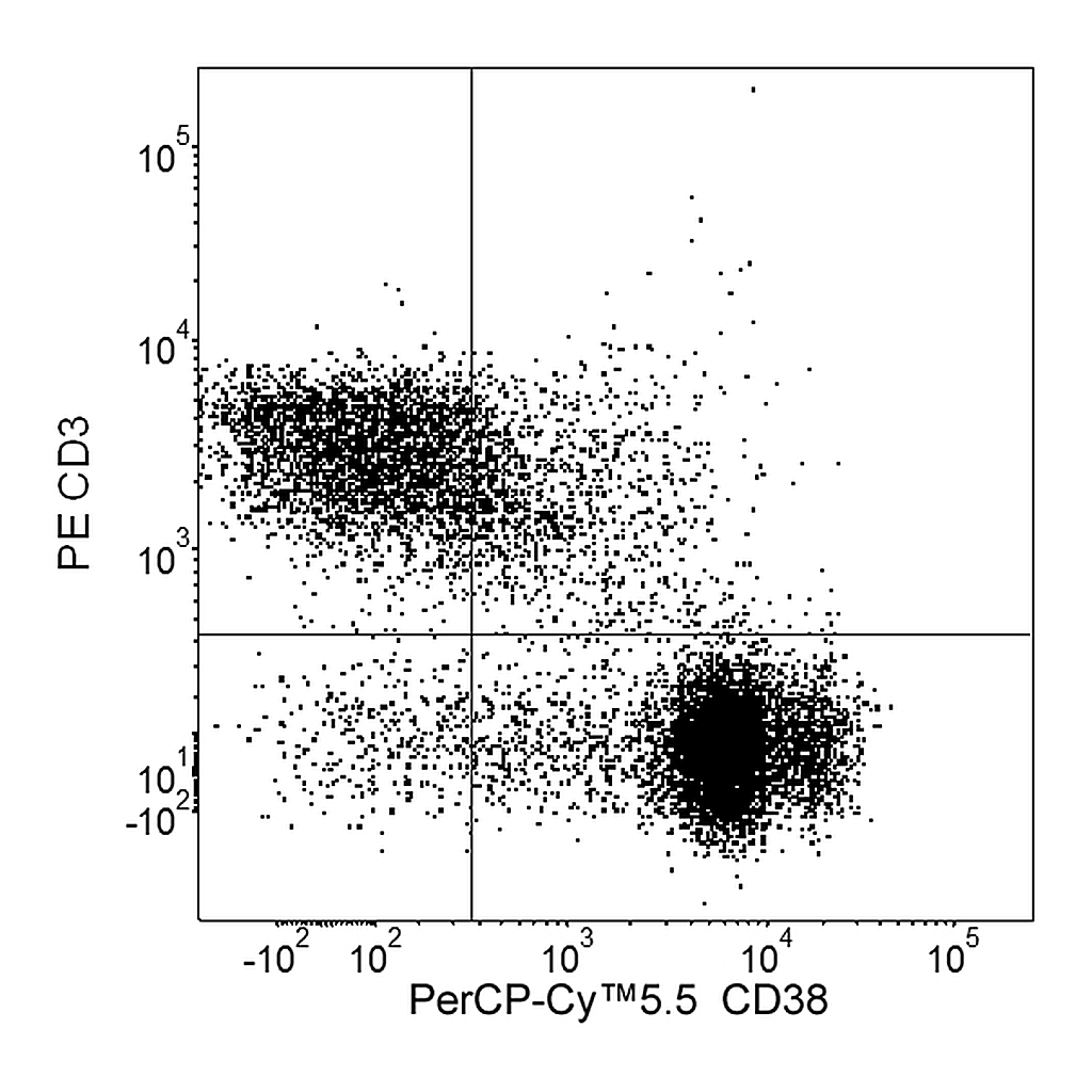 BD PerCP-Cy5.5 Rat Anti-Mouse CD38
