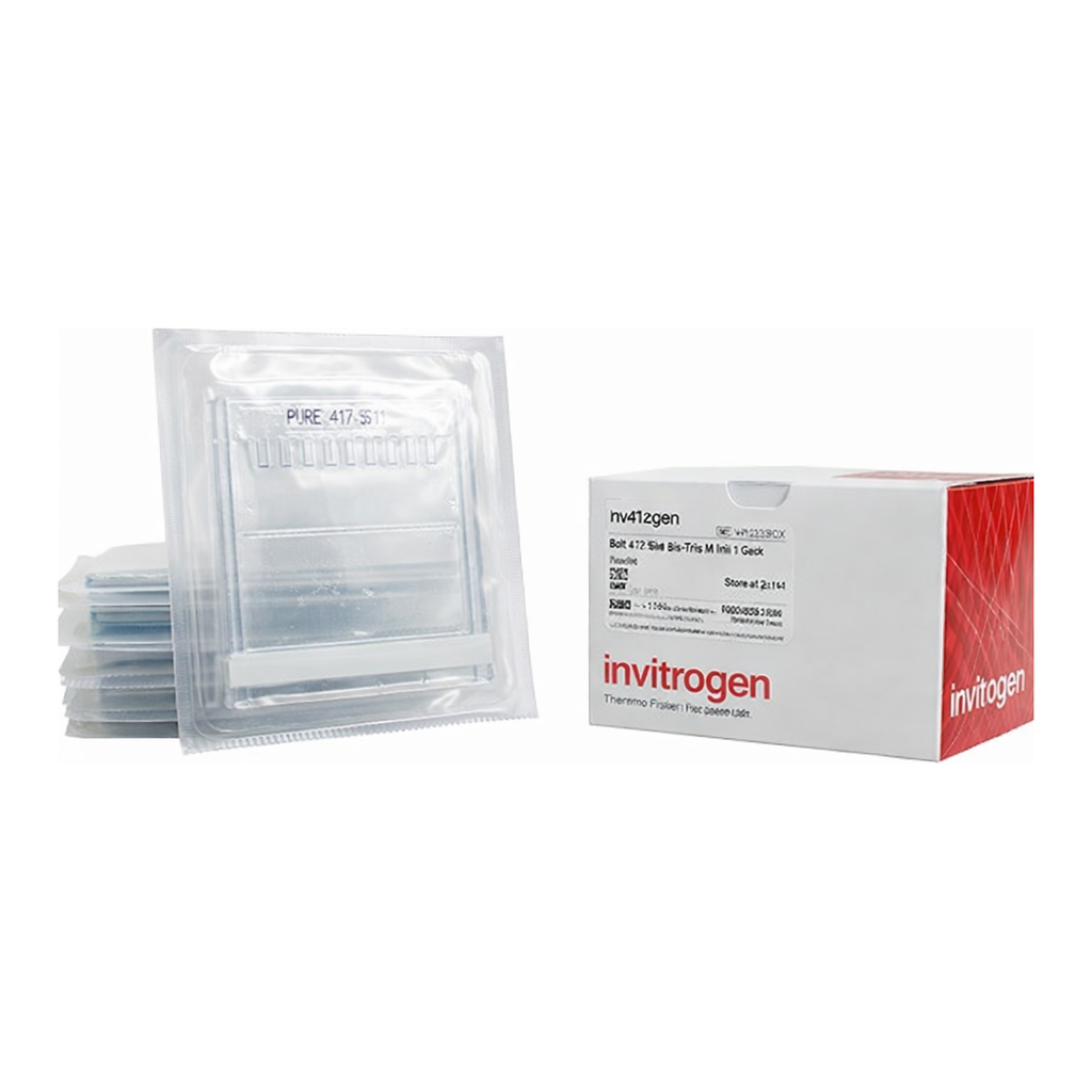 Thermo Fisher Scientific NuPAGE 10%, Bis-Tris, 1.0 mm, Mini Protein Gel, 10-well, 10 gels (1 box)