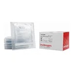 Thermo Fisher Scientific NuPAGE 10%, Bis-Tris, 1.0 mm, Mini Protein Gel, 10-well, 10 gels (1 box)