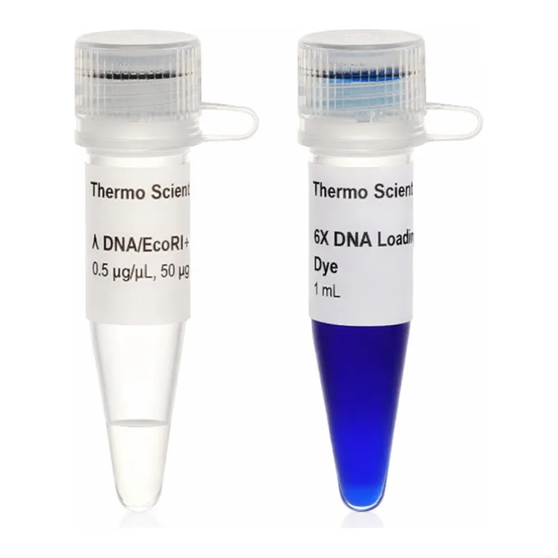 Thermo Fisher Scientific Lambda DNA/EcoRI plus HindIII Marker, 5 x 50 ug