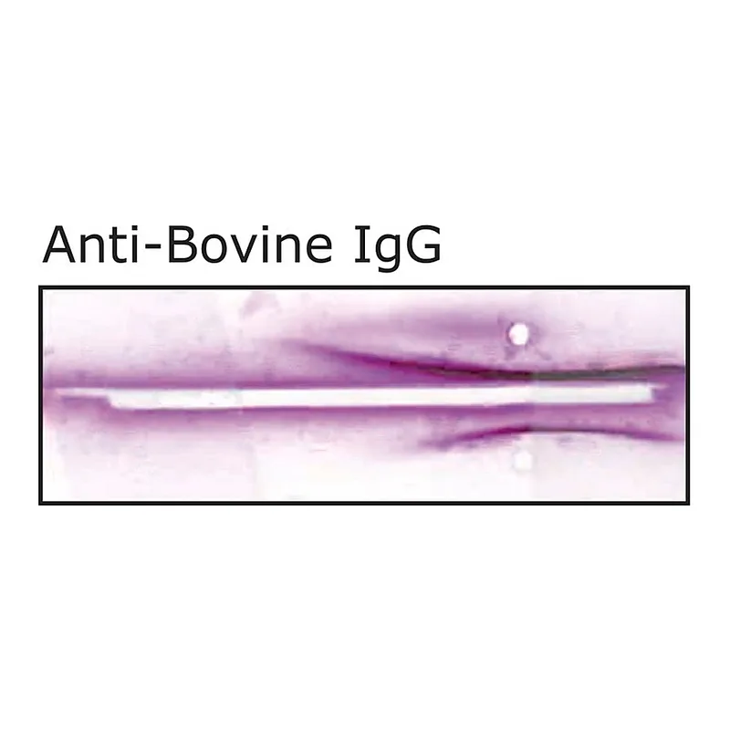 Merck Anti-Bovine IgG (whole molecule) antibody produced in goat