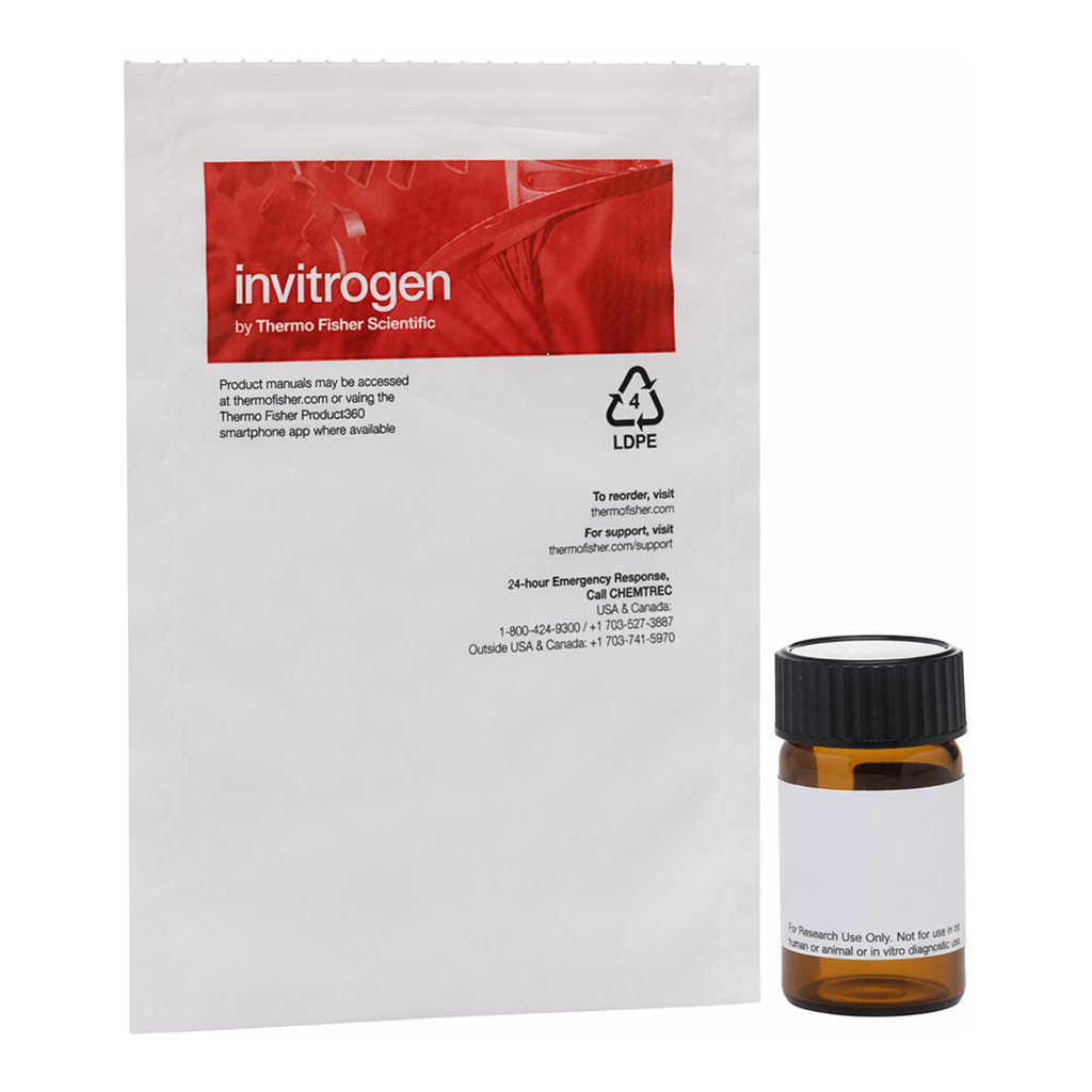 Thermo Fisher Scientific NBD Cholesterol (22-(N-(7-Nitrobenz-2-Oxa-1,3-Diazol-4-yl)Amino)-23,24-Bisnor-5-Cholen-3β-Ol)